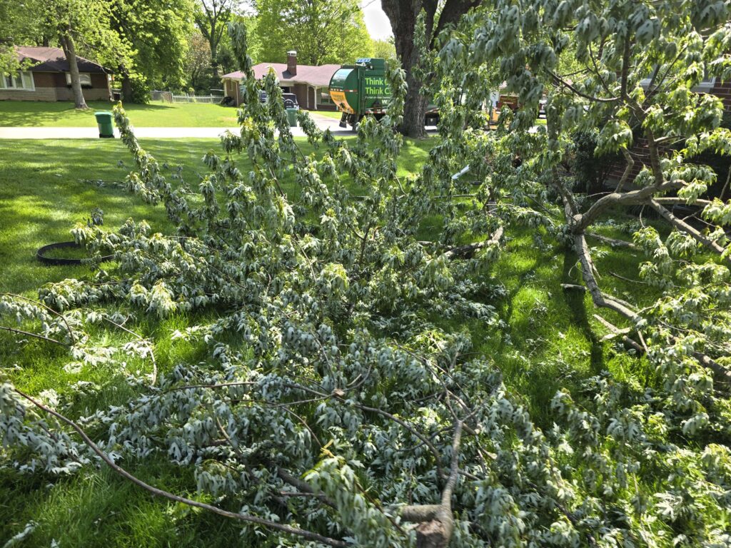 storm-debris-02